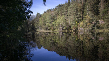 die Wanderroute entlang des Weiers im Moosbachtal