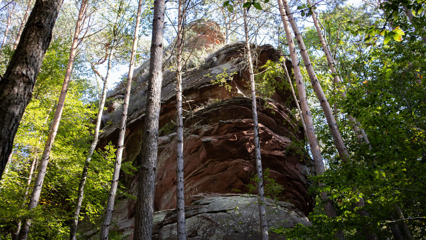 Sandsteinfelsen oberhalb des Wanderwegs am Seibersbach