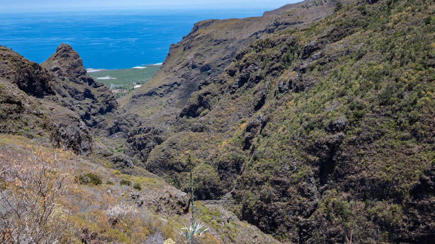 Ausblick auf die Bananenplantagen auf der fachen Ebene der Isla Baja