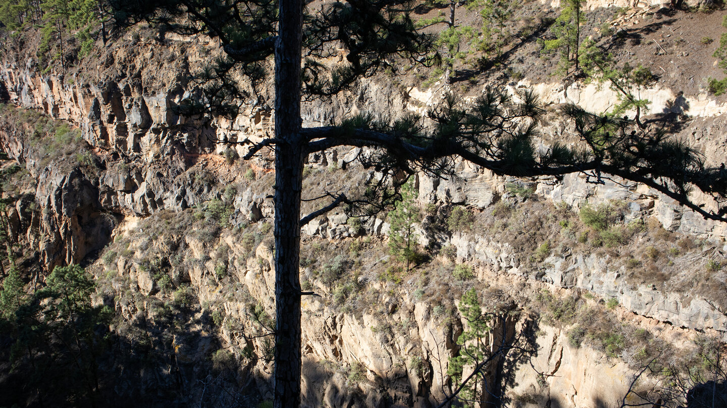 Felswände im Barranco del Infierno