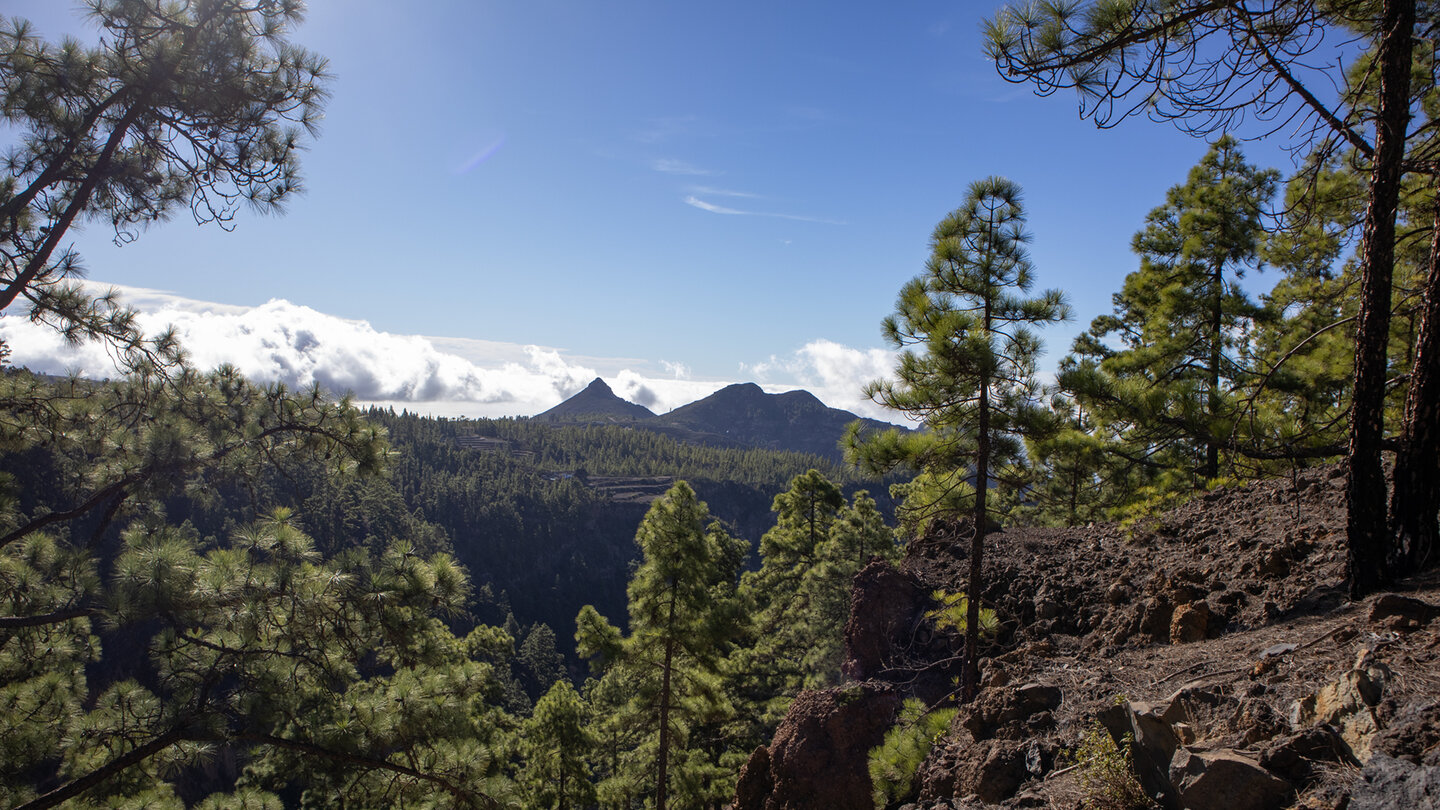 Ausblick auf Roque Ifonche und Roque de los Brezos vom Wanderweg