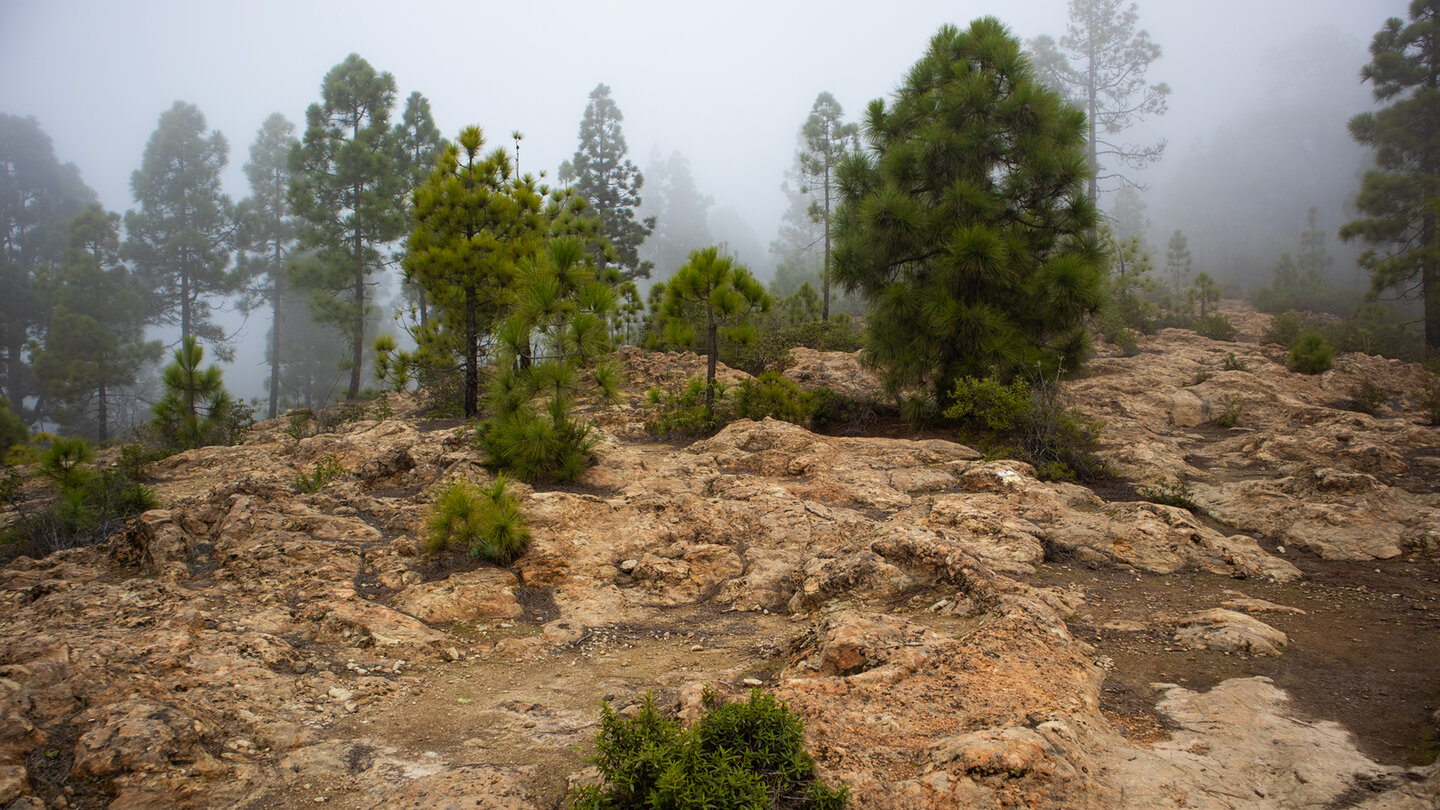 Wegkreuzung zum Camino de Teresme