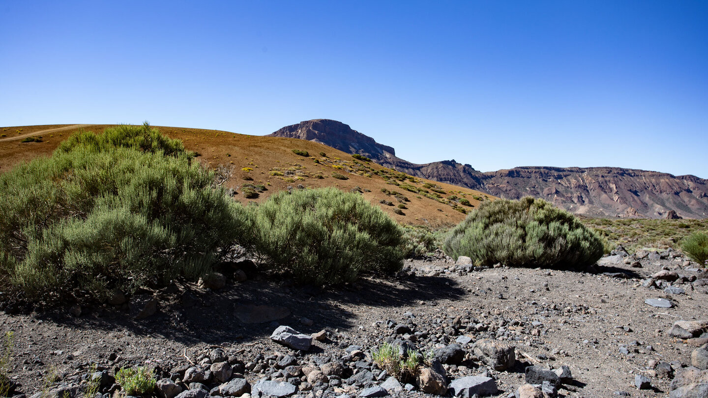 Montaña Majúa mit dem Guajara im Hintergrund