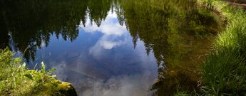 Spiegelung im Gewässer des Sandsees