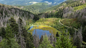 Huzenbacher Seeblick