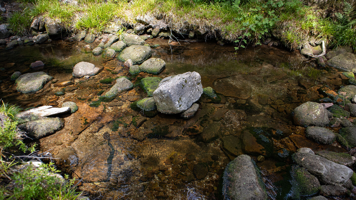 kristallklares Wasser im Tonbach