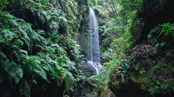 Wasserfall Cascada de los Tilos