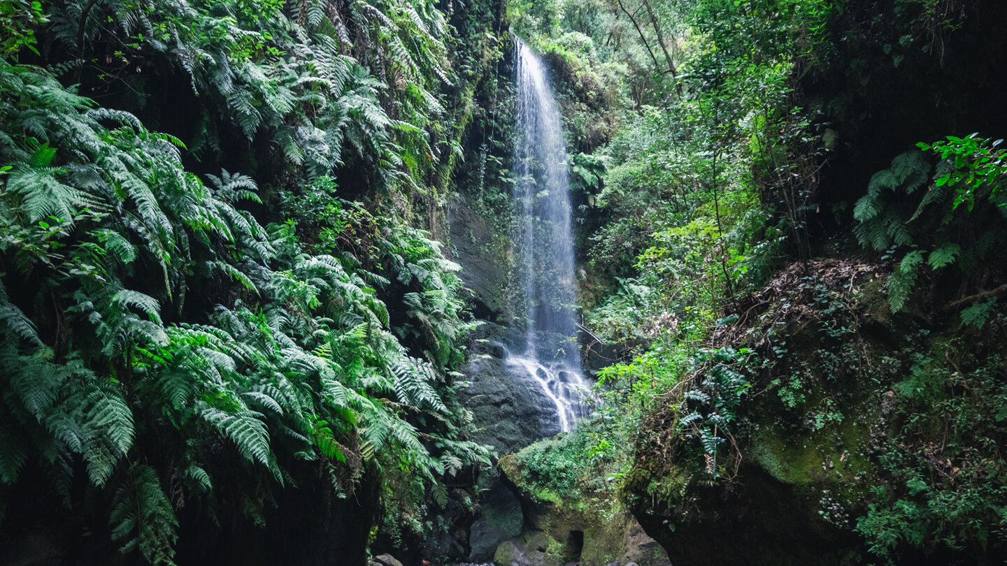 Wasserfall Cascada de los Tilos