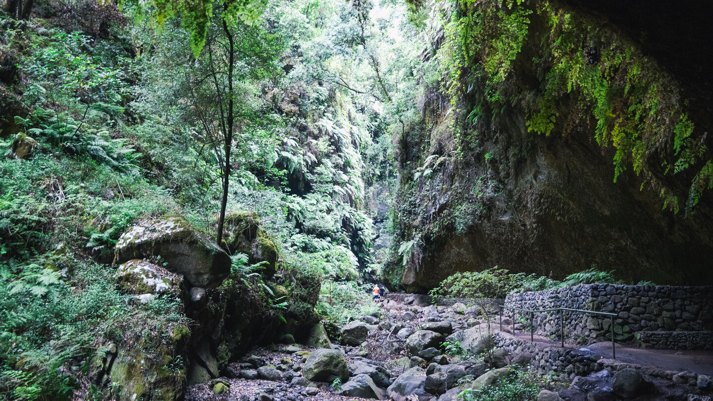 die Schlucht Barranco del Agua im Lorbeerwald von Los tilos