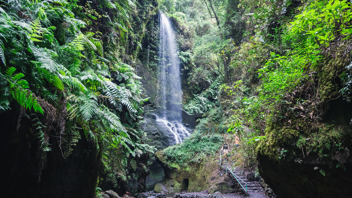 eine Treppe führt zum Wasserfall Cascada de los Tilos