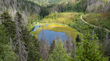 Aussichtspunkt Huzenbacher Seeblick