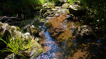 Zufluss des Tonbach