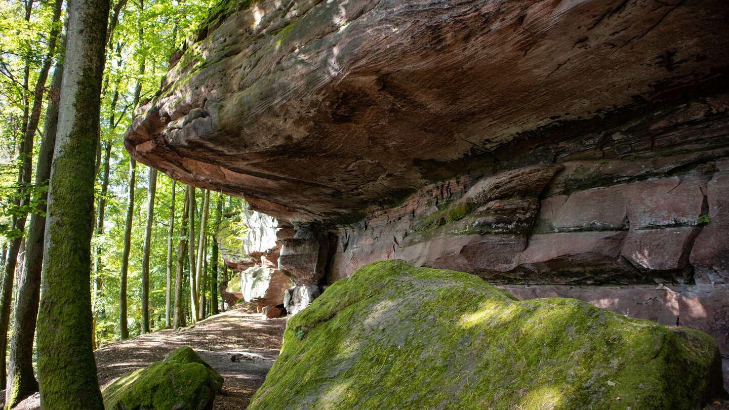 das Felsriff Hohle Felsen mit weit auskragenden Felsüberhängen