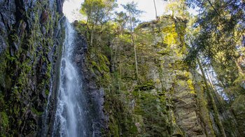 der Burgbachwasserfall im Schwarzwald