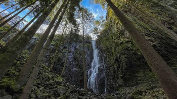 der Burgbachwasserfall im Wald des Wolftals