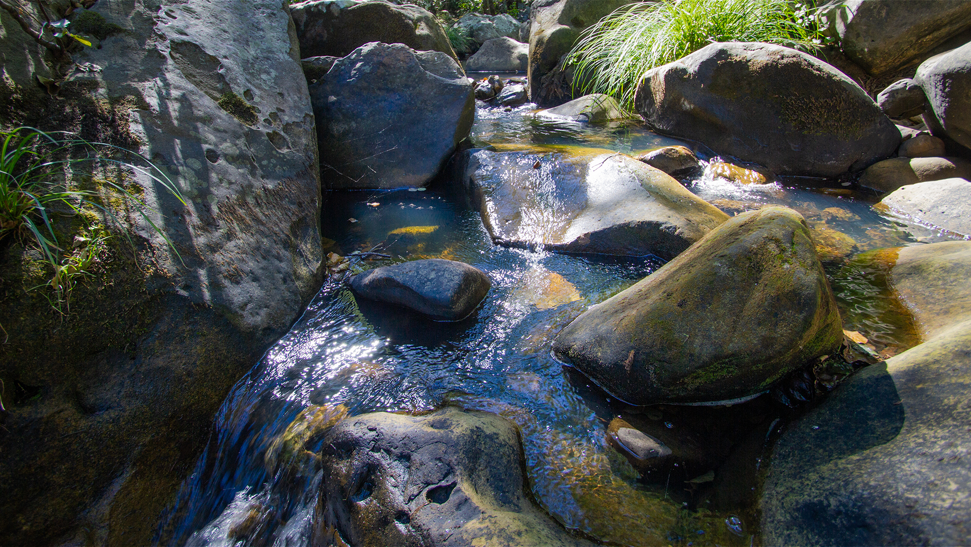 idyllischer Bachlauf im Naturpark Alcornocales | © Sunhikes