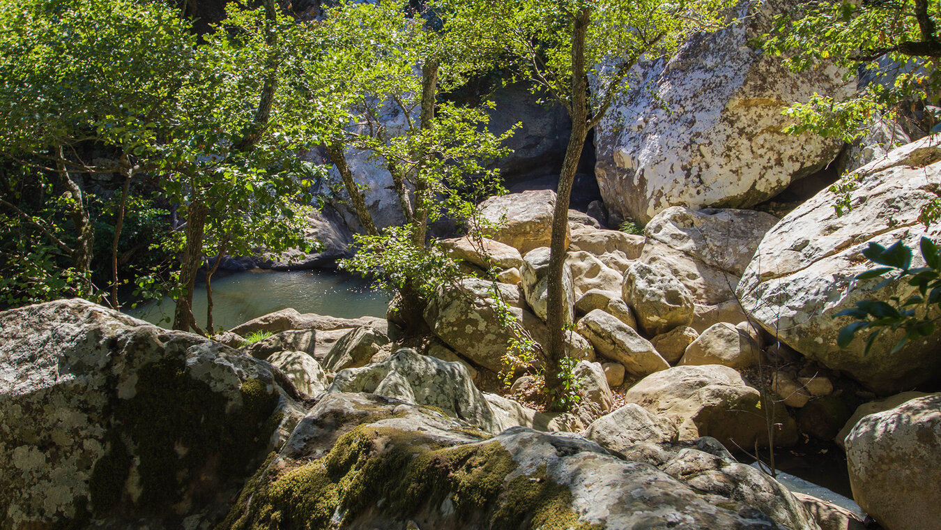 Canutos – Galeriewälder der Bachläufe im Naturpark Los Alcornocales | © Sunhikes