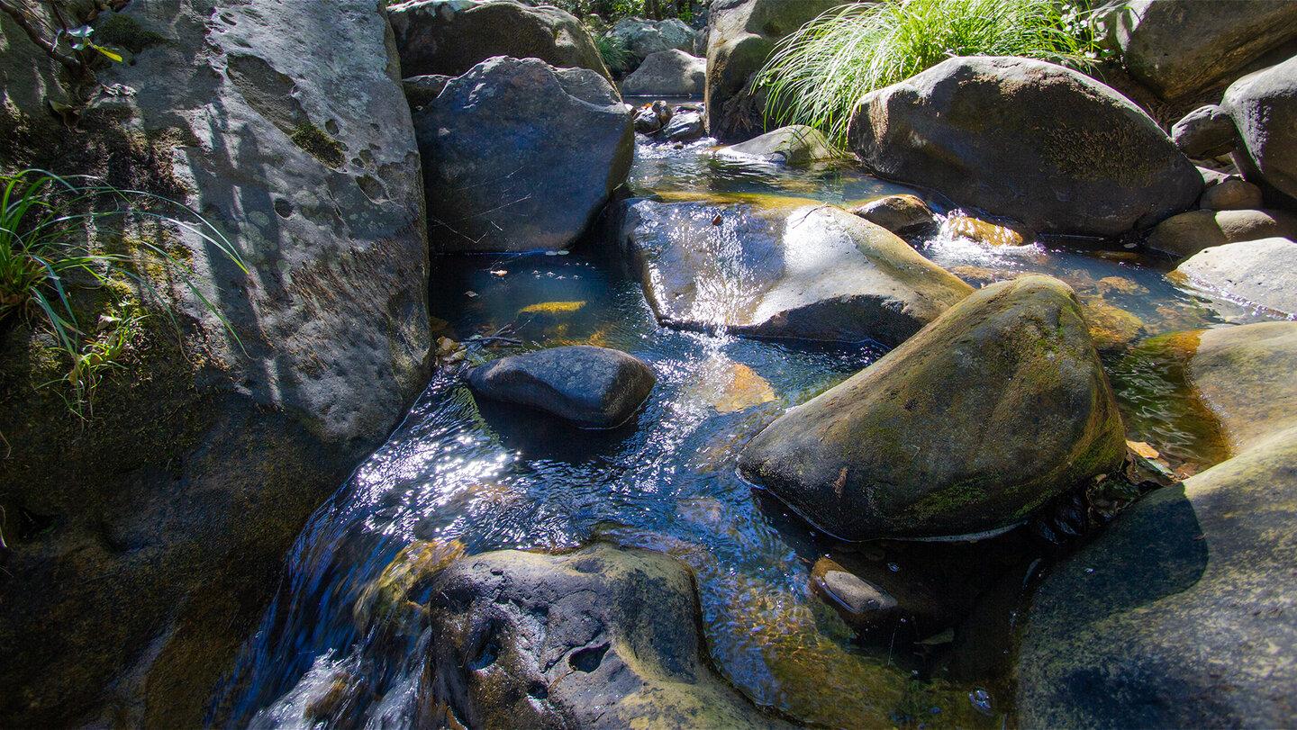 Bachlauf im Naturpark Alcornocales | © Sunhikes