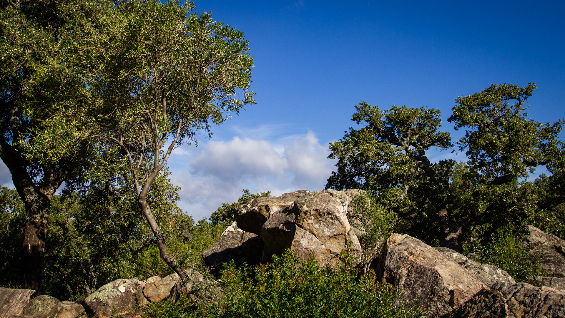 beliebtes Wandergebiet Naturpark Alcornocales | © Sunhikes