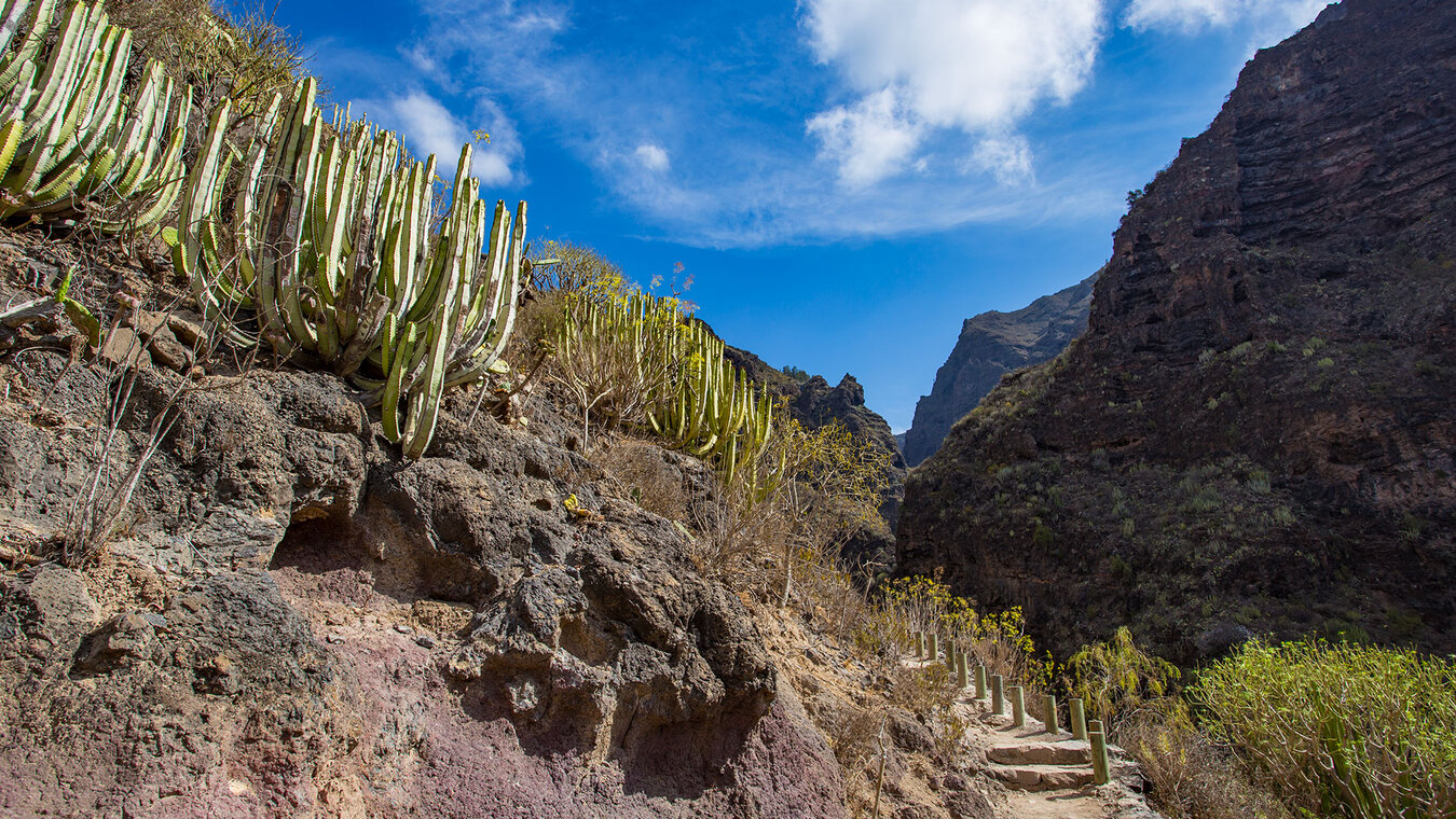 Wanderweg durch die Infierno-Schlucht  | © Sunhikes