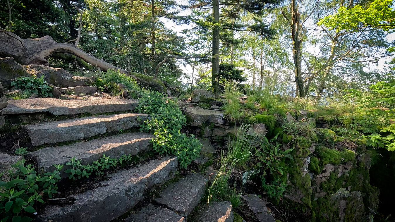 der obere Felsenweg am Battert bei Baden-Baden | © Sunhikes