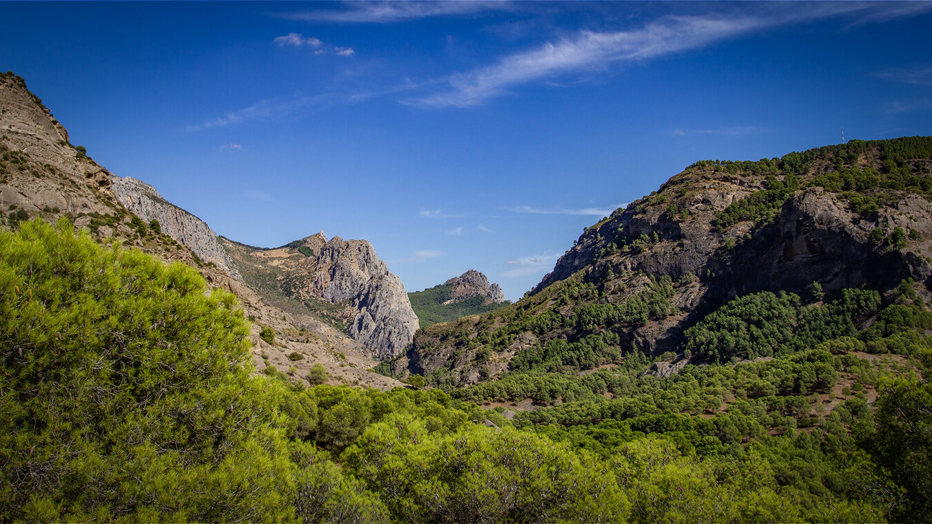 Landschaft im Paraje Natural Desfiladero de los Gaitanes | © Sunhikes