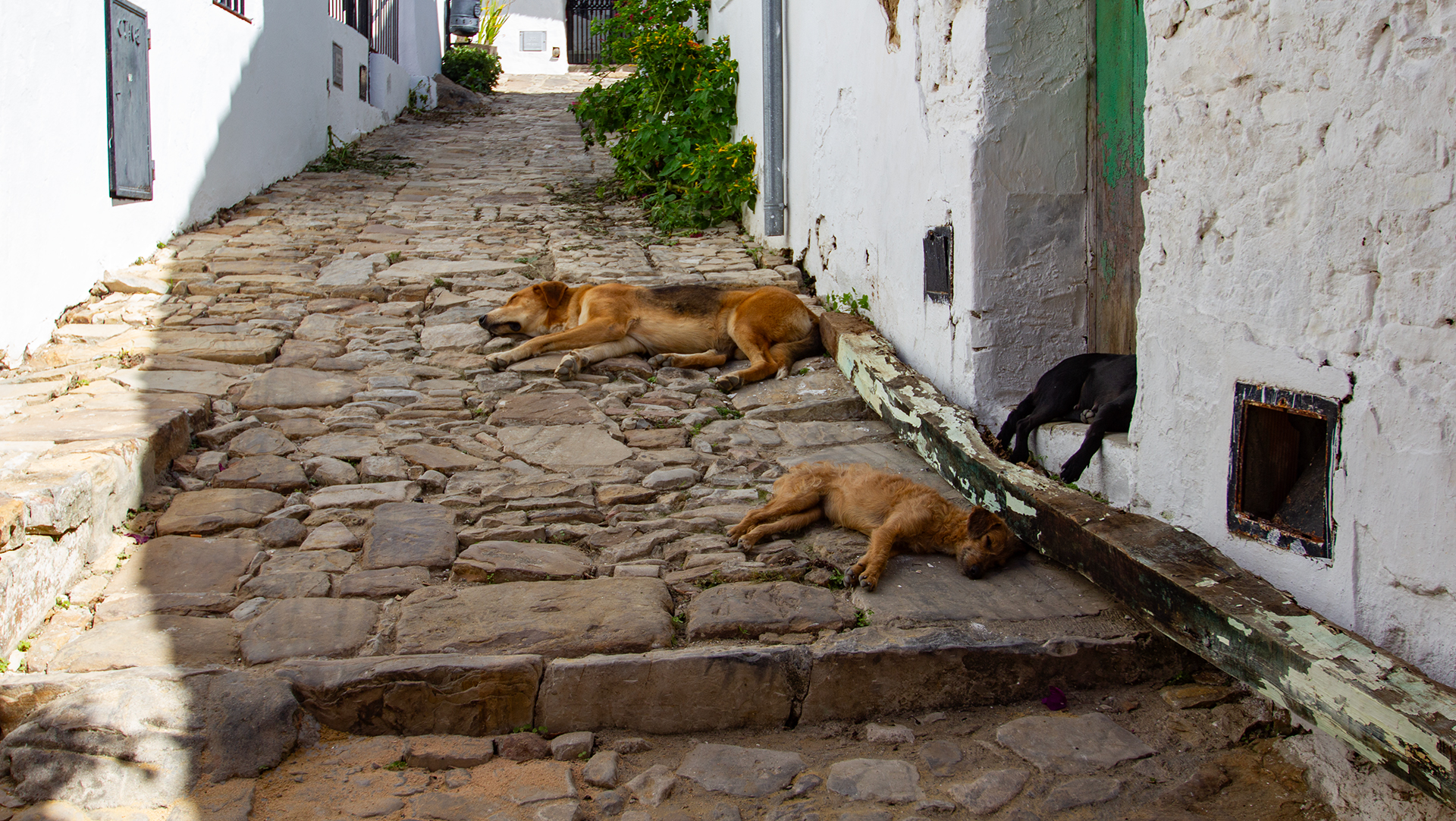 Siesta in den Gassen von Castellar de la Frontera | © Sunhikes