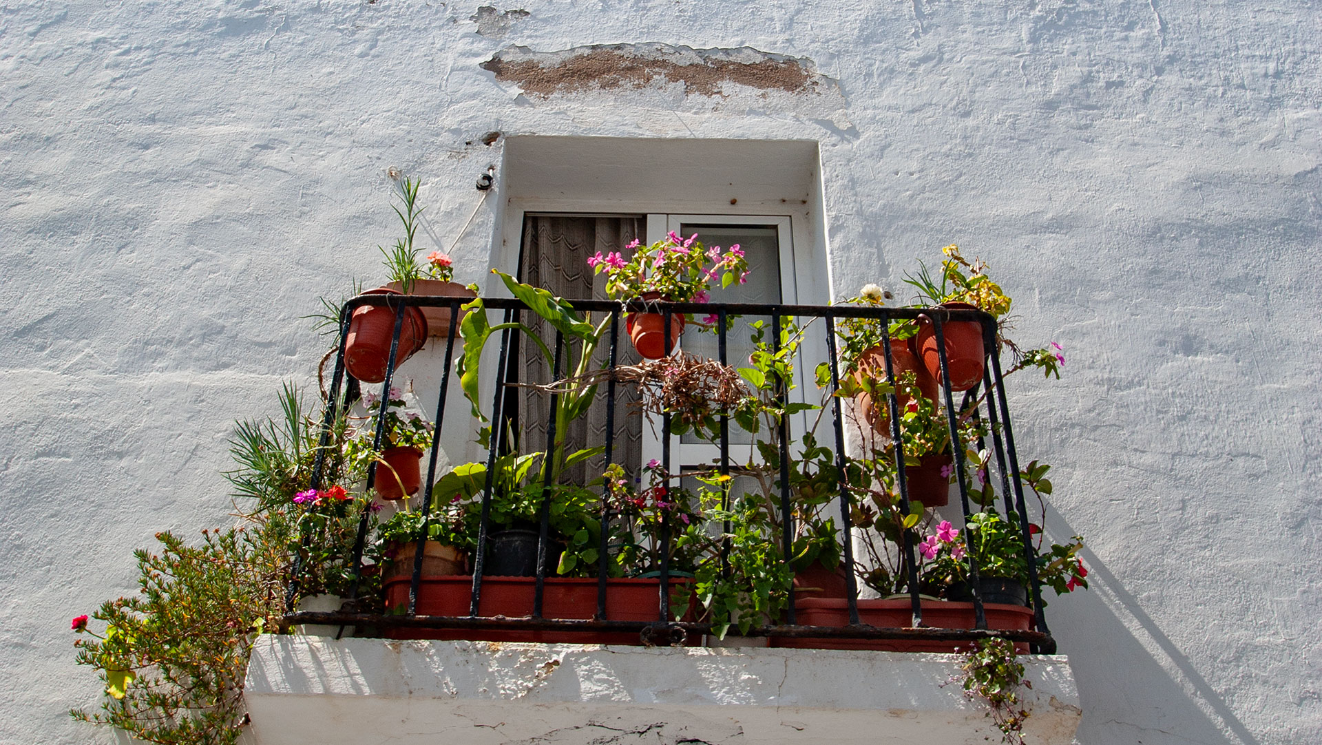 blumengeschmückter Balkon in Conil de la Frontera | © Sunhikes