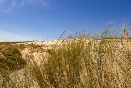 Parque Nacional de Doñana | © Sunhikes