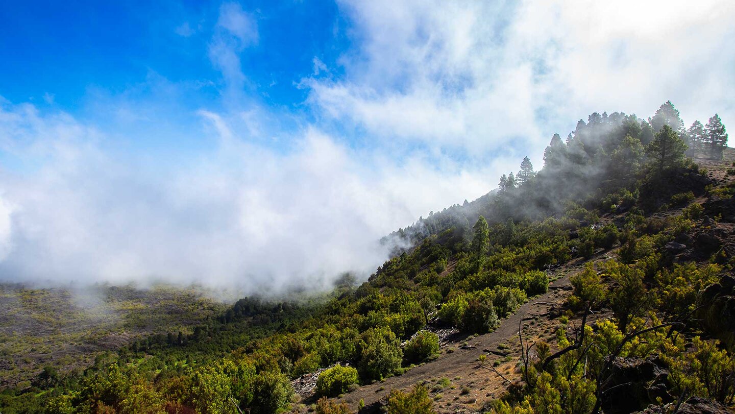 die Cumbre beim Vulkan Tanganasoga | © Sunhikes