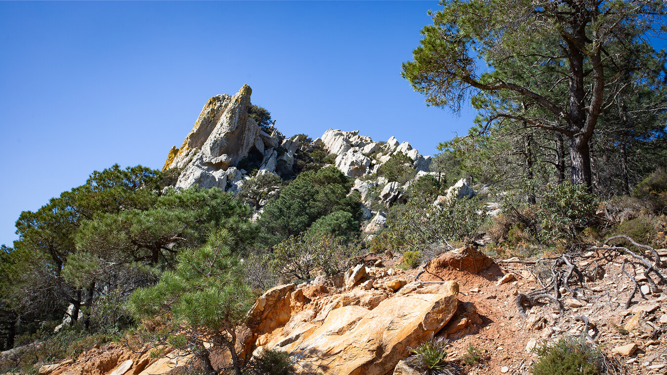 Felslandschaft des Naturpark del Estrecho | © Sunhikes