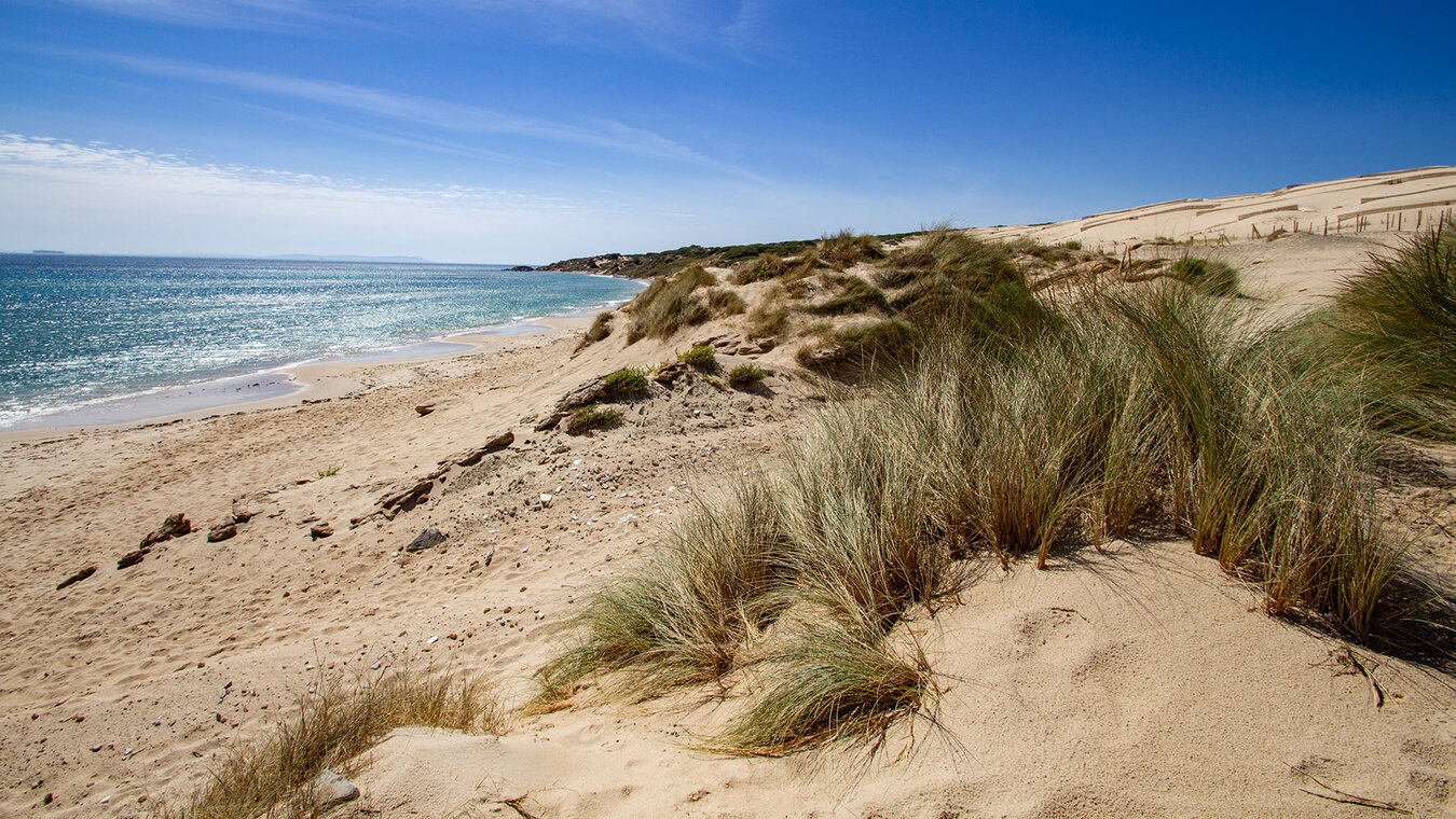 Duna de Valdevaqueros im Naturpark del Estrecho | © Sunhikes