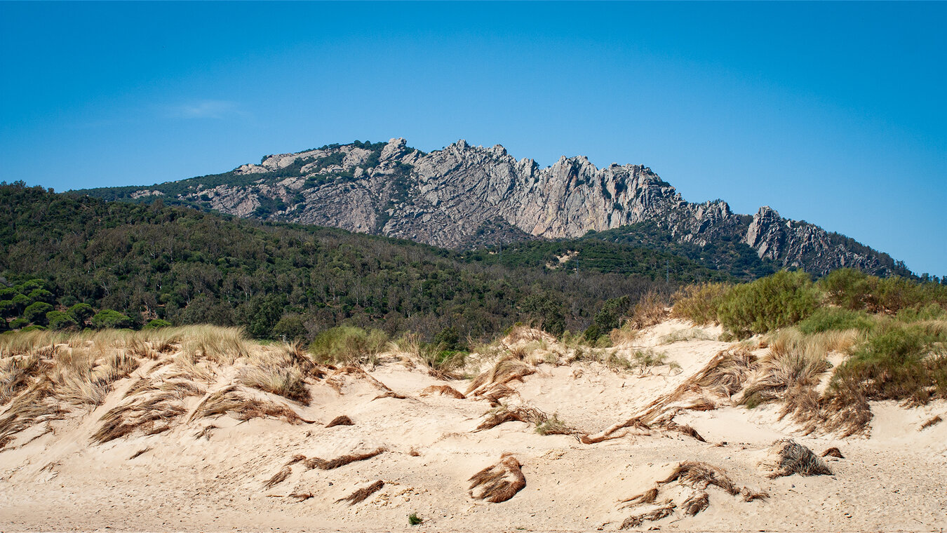 Vielfalt an Lebensräumen im Naturpark del Estrecho | © Sunhikes