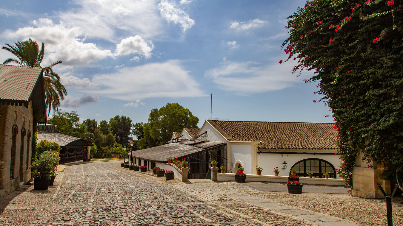 Gelände eines Sherryherstellers in Jerez | © Sunhikes