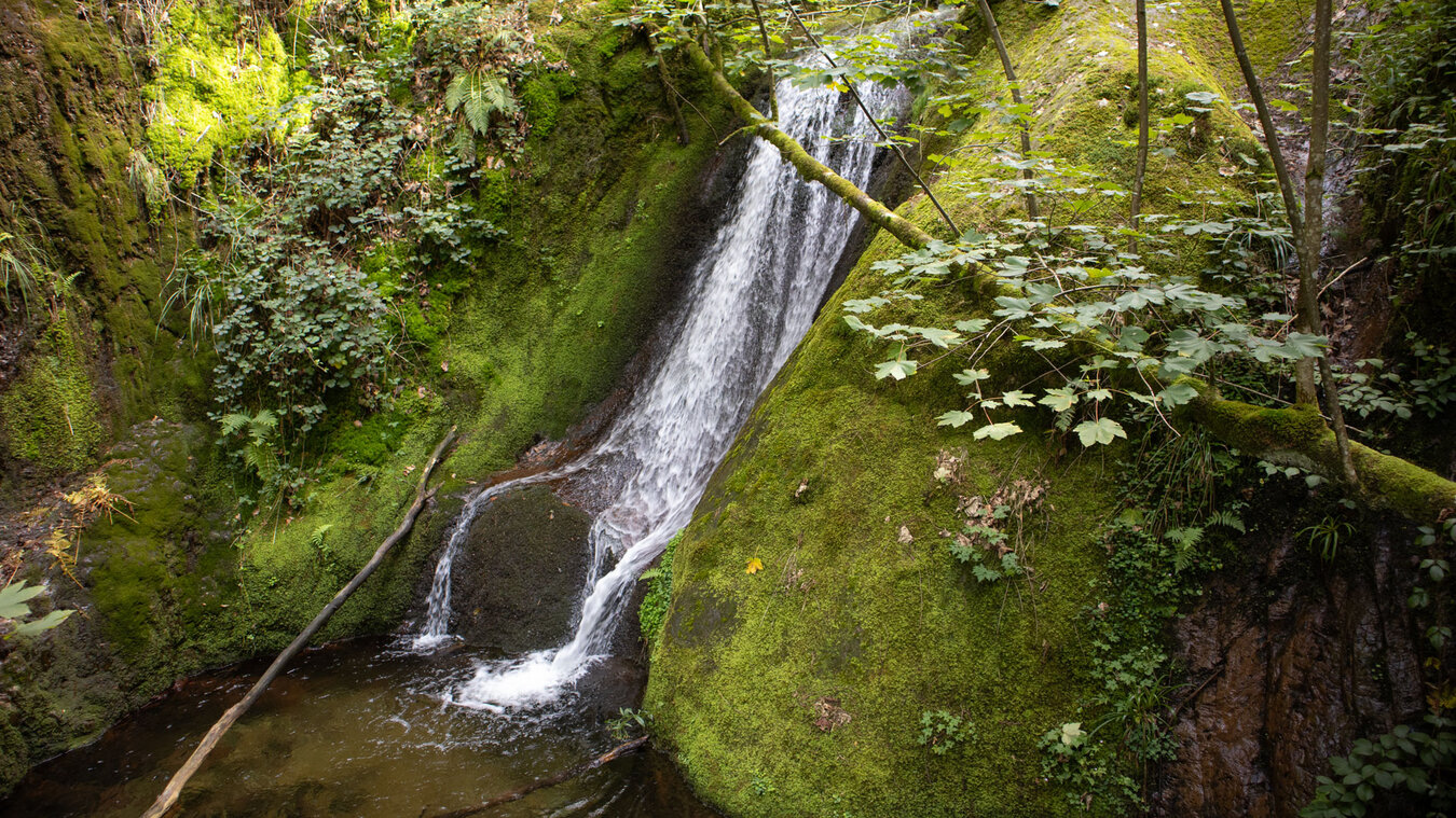 Fallstufe der Edelfrauengrab-Wasserfälle in der  bemoosten Schlucht des Gottschlägbachs | © Sunhikes