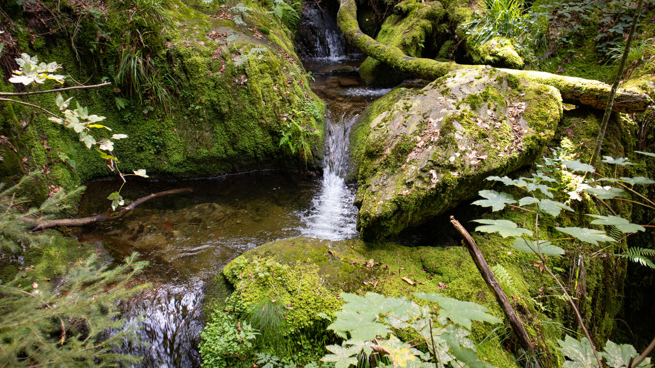 Kaskaden des Gottschlägbachs entlang der Edelfrauengrab-Wasserfälle | © Sunhikes