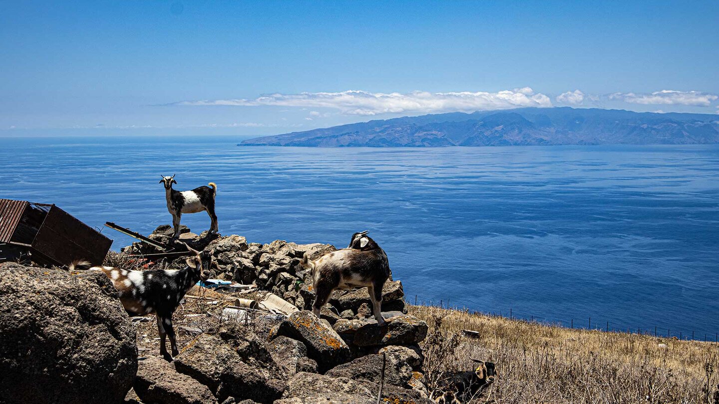 Blick von der Nachbarinsel Teneriffa auf La Gomera | © Sunhikes