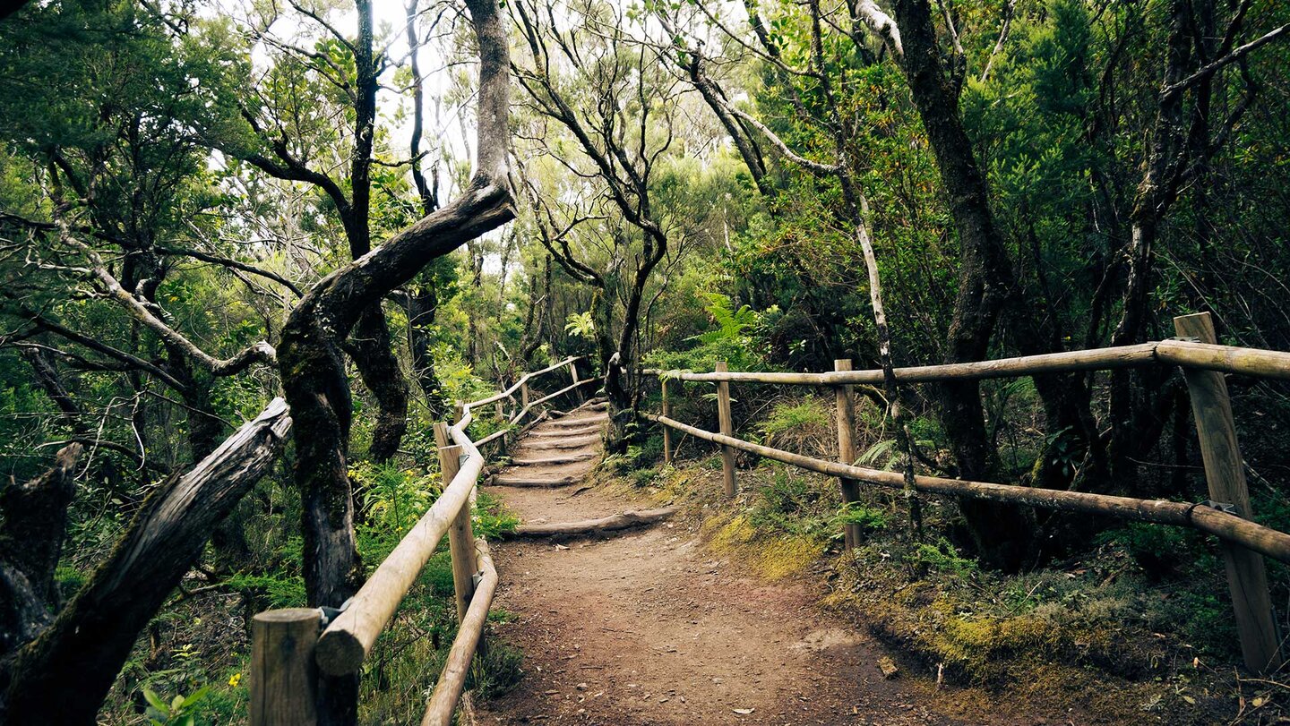 Wanderwege im Nationalpark Grajonay | © Sunhikes