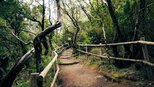 Wanderwege im Nationalpark Grajonay | © Sunhikes