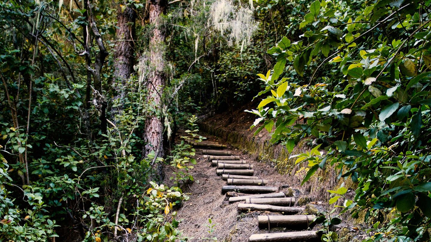 Wanderung entlang der Ruta del Agua im Valle de Orotava | © Sunhikes