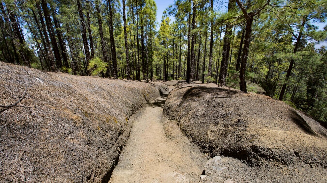 der Pilgerpfad Camino de Candelaria  | © Sunhikes