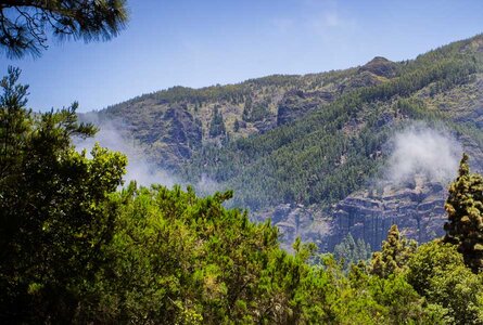 Los Órganos auf Teneriffa | © Sunhikes