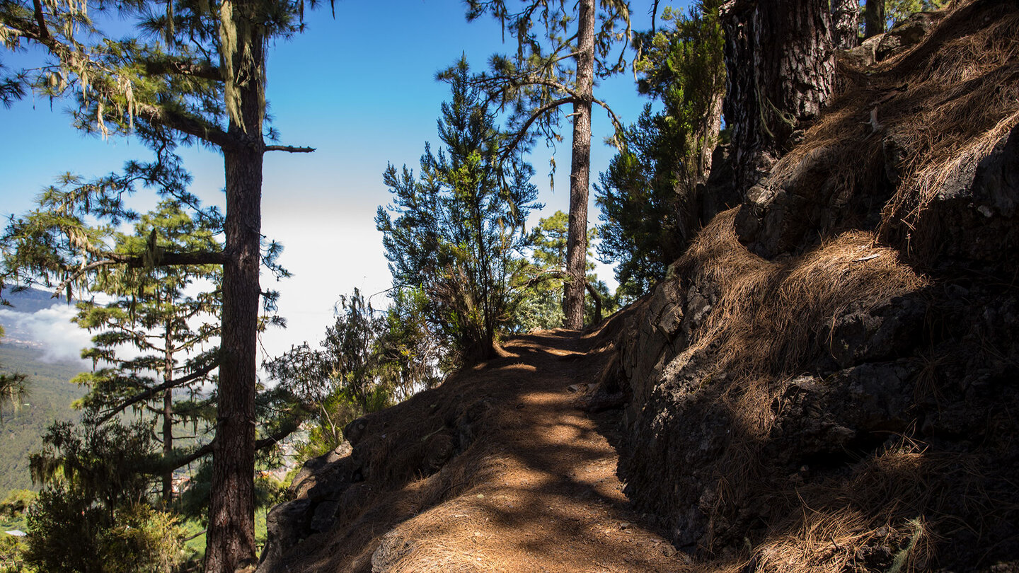 Wanderung entlang des Órganos-Höhenwanderwegs auf Teneriffa | © Sunhikes