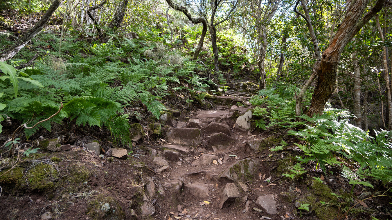 Wanderpfad im Monte del Agua | © Sunhikes