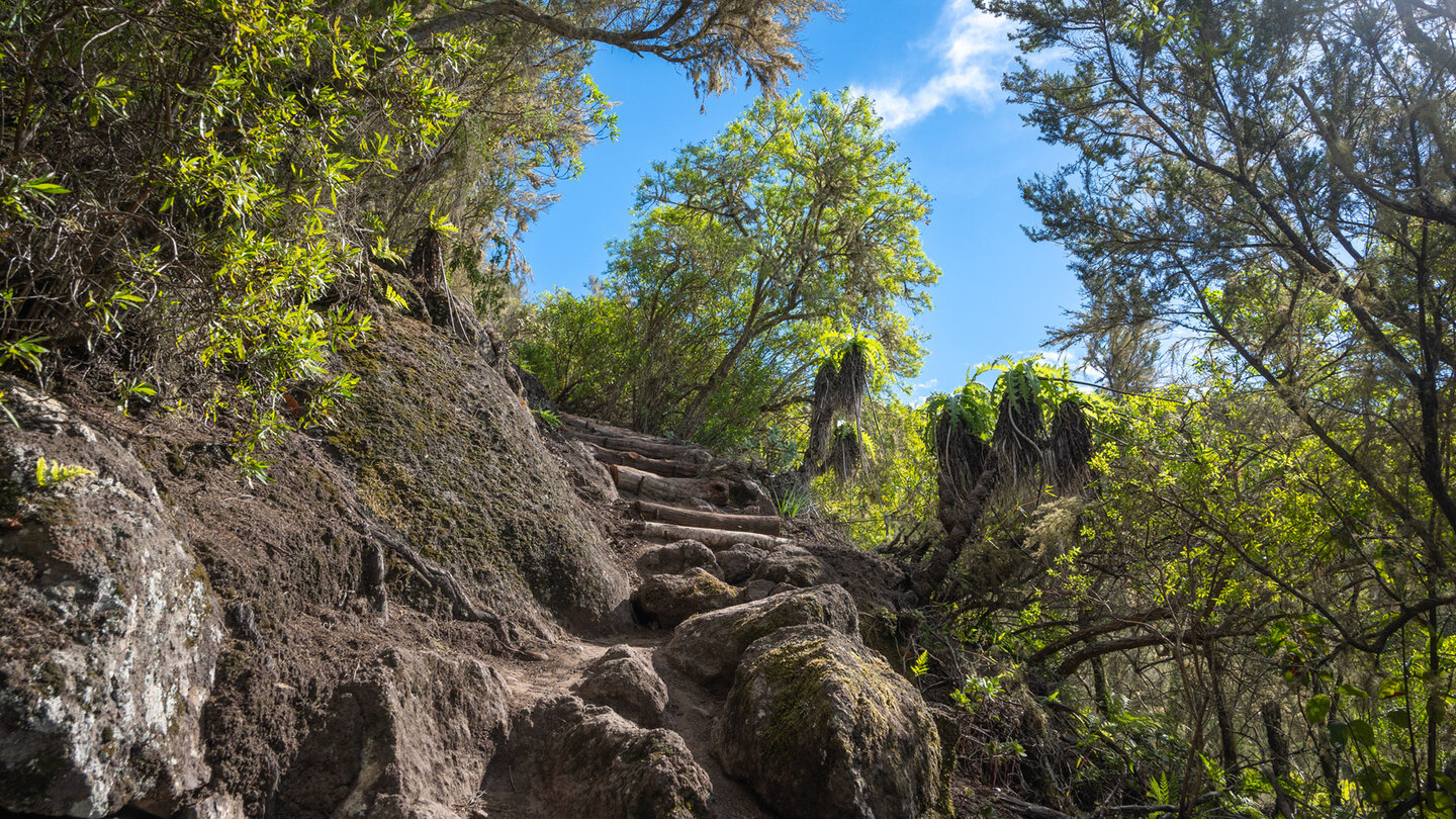 traumhafte Wanderwege führen auf Bergkämme oberhalb von Los Silos | © Sunhikes