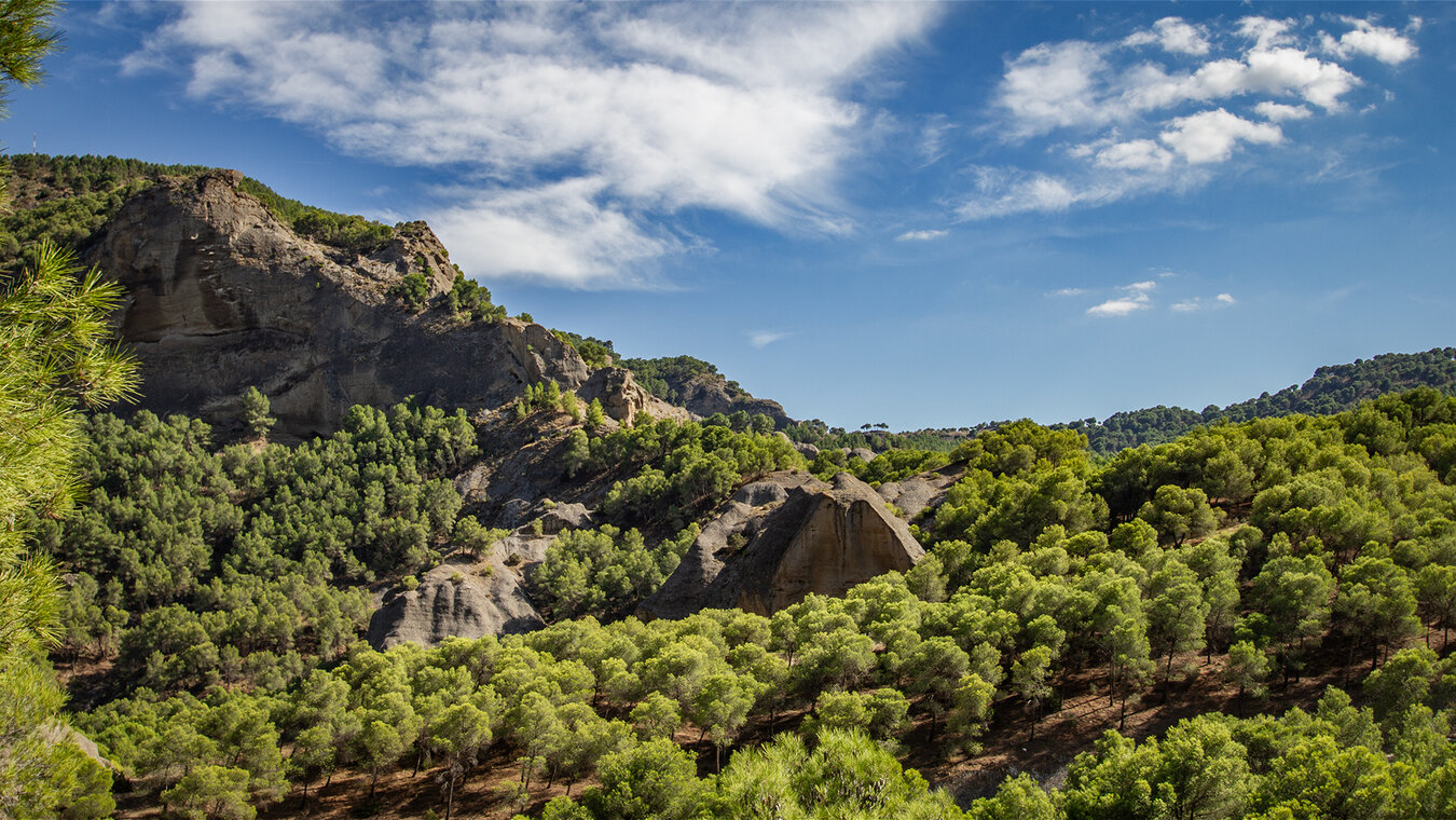 das Naturschutzgebiet El Desfiladero de los Gaitanes ist ein Paradies für Wanderer | © Sunhikes