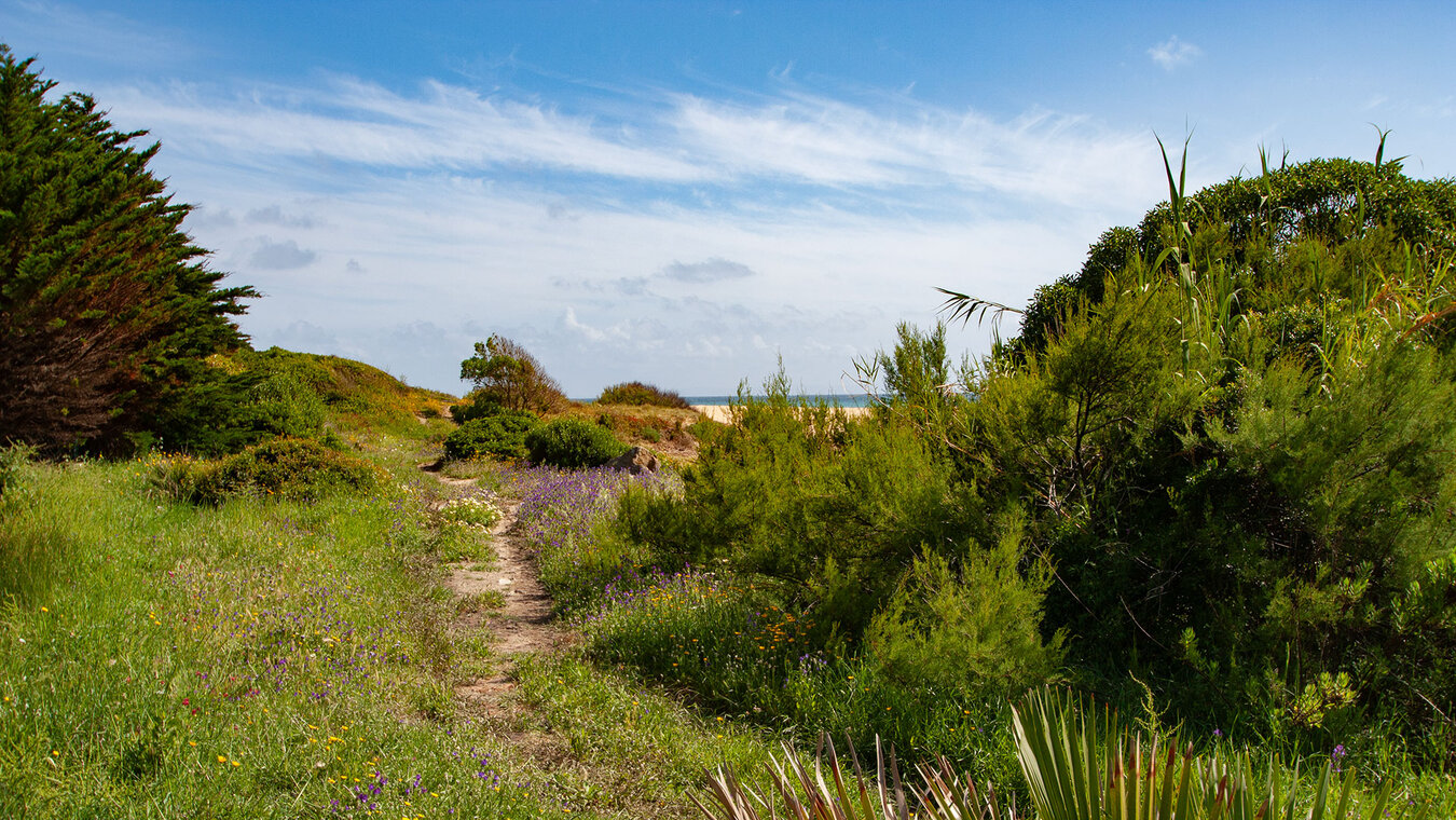 Pfad zum Strand Playa de los Alemanes | © Sunhikes