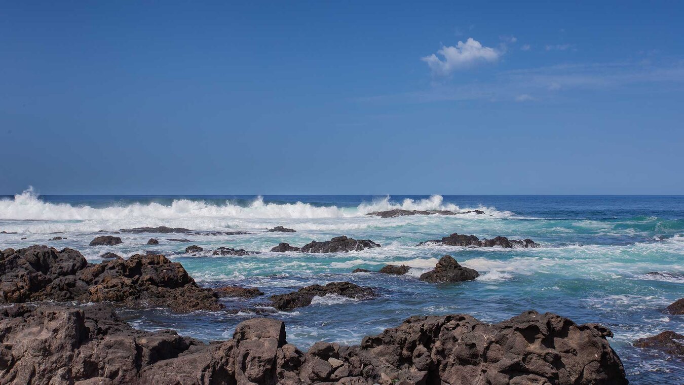 raue Küste Punta del Hidalgo | © Sunhikes