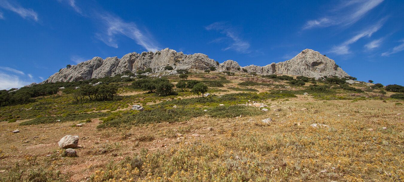 die Berge der Serranía de Ronda | © Sunhikes