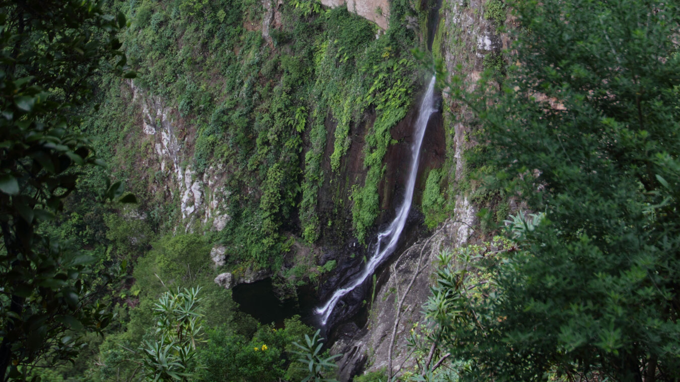 unterer Bereich des beeindruckenden Wasserfalls El Chorro del Cedro im Herzen des Garajonay Nationalparks | © Sunhikes